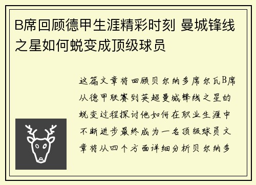 B席回顾德甲生涯精彩时刻 曼城锋线之星如何蜕变成顶级球员 B席回顾德甲生涯精彩时刻 曼城锋线之星如何蜕变成顶级球员