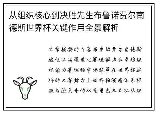 从组织核心到决胜先生布鲁诺费尔南德斯世界杯关键作用全景解析