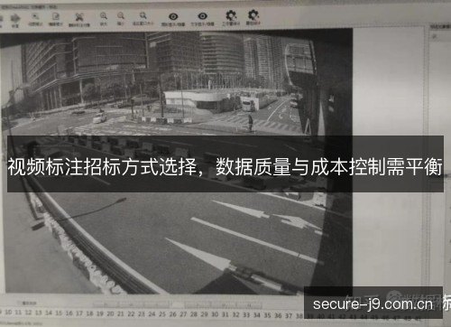 视频标注招标方式选择，数据质量与成本控制需平衡